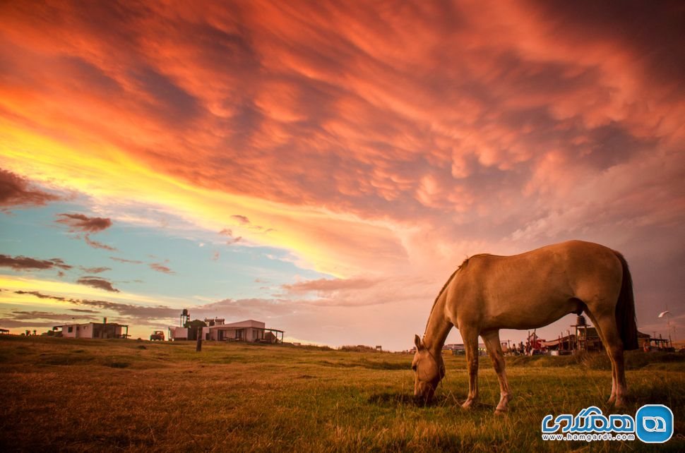 اسب سواری در مناطق زیبای روستایی اروگوئه