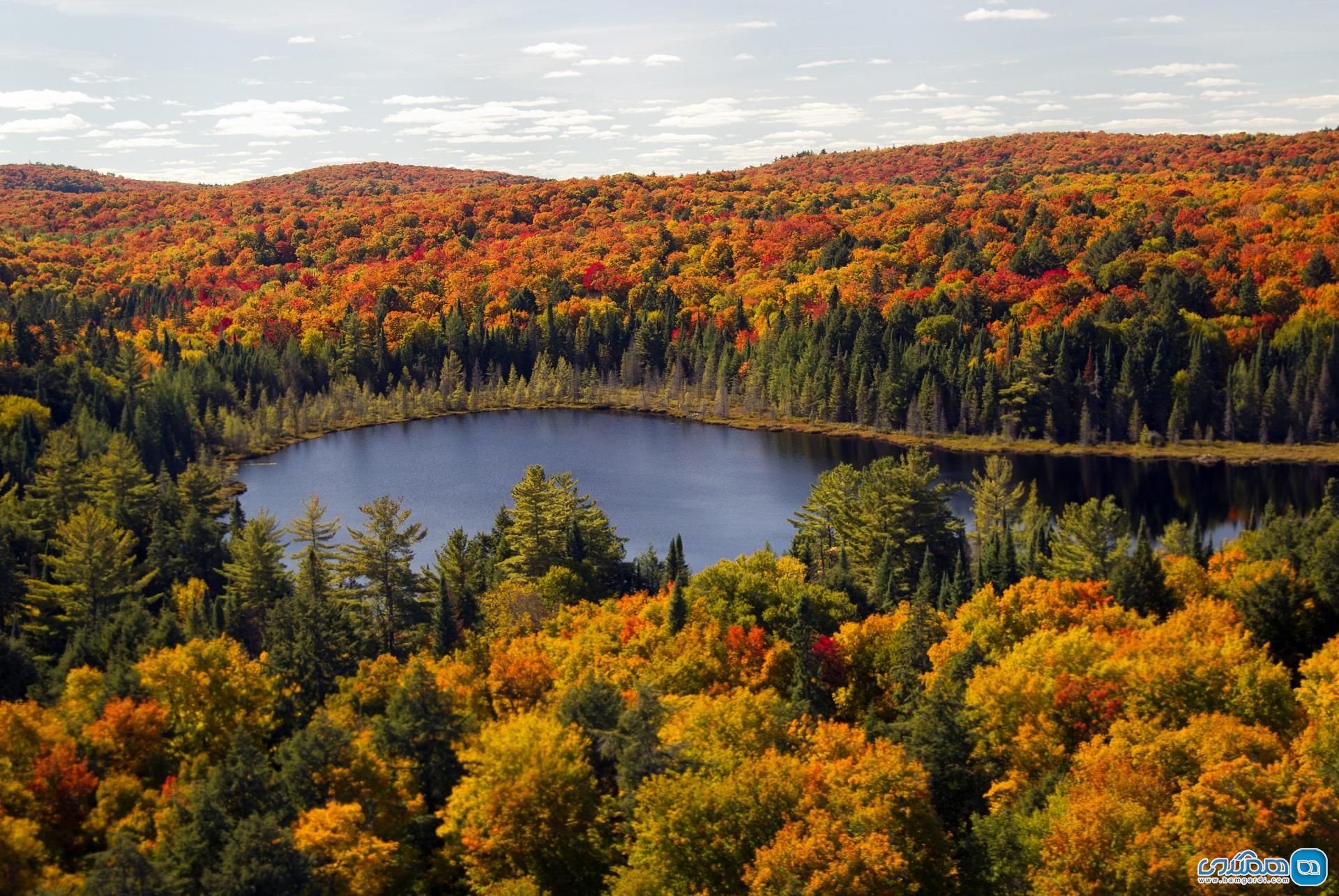 پارک استانی الگون کویین Algonquin Provincial Park