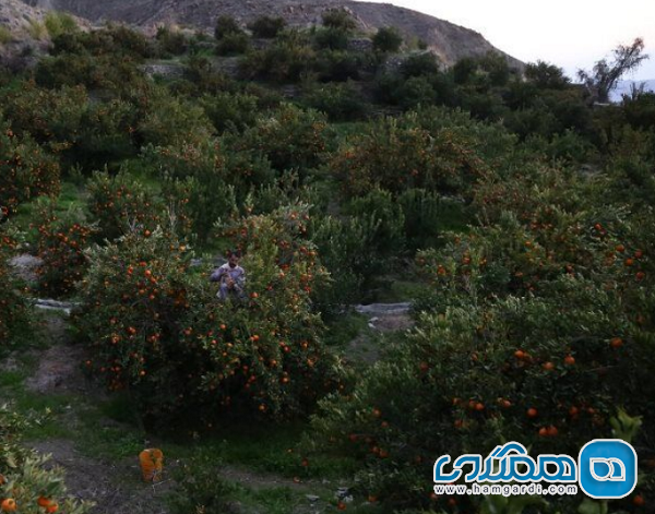 خطر برای روستاهای هدف گردشگری الیگودرز