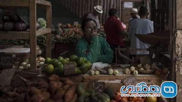 نمی توانید حدس بزنید مواد خوراکی کوبا از چه کشوری وارد می شوند