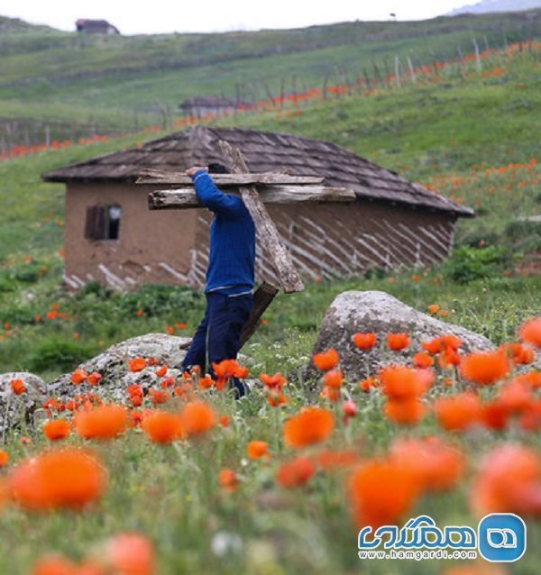 اعلام لغو ممنوعیت ورود به سوباتان برای گردشگران