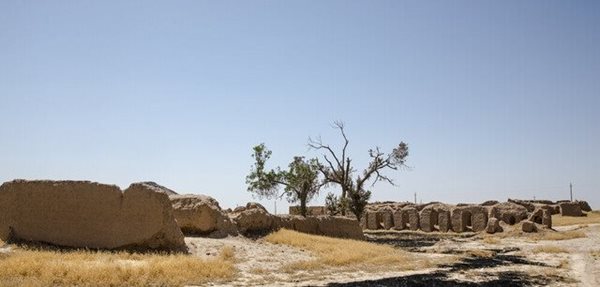 بررسی های سطحی باستان شناسان را به پیکرک و فنجان ها رساند