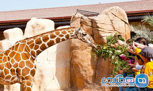 باغ وحش امارات (emirates park zoo)