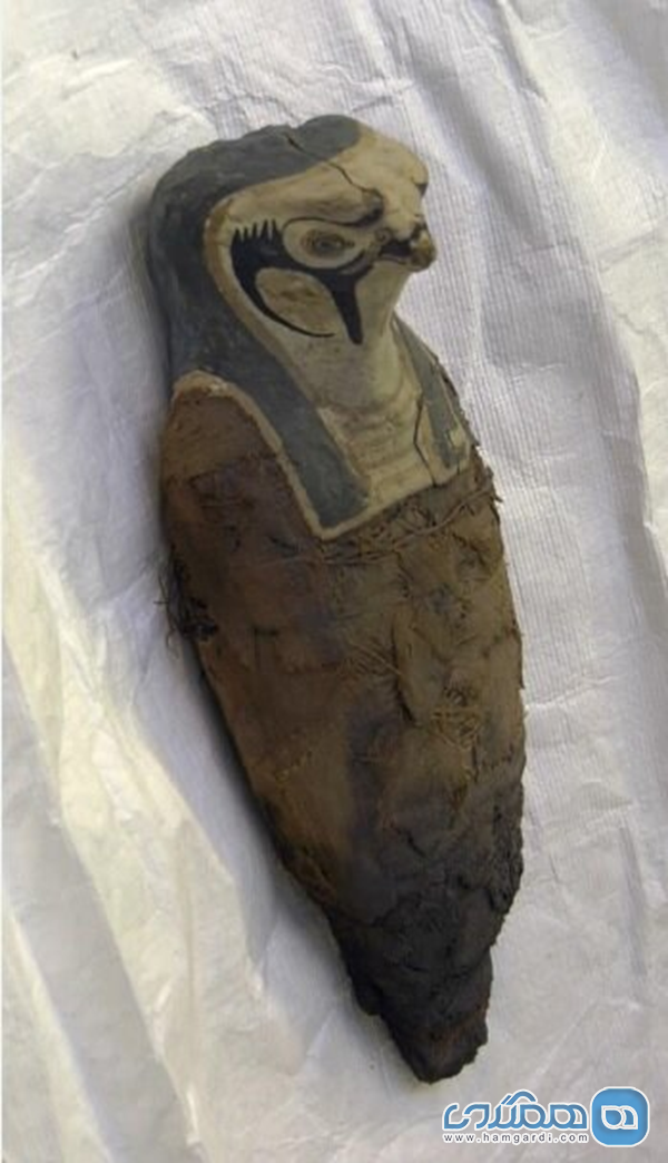 اعلام کشف یک مجسمه مومیایی شده مصری