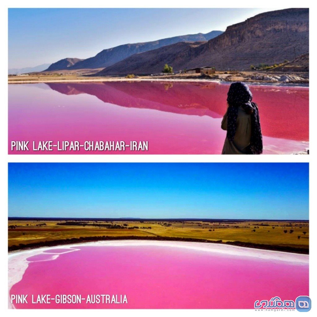 دریاچه صورتی لیپار در چابهار ایران | دریاچه صورتی گیبسن در استرالیا