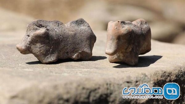 اعلام کشف مجسمه های چند هزار ساله در لهستان
