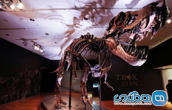 اعلام حراج اسکلت یکی از بزرگترین دایناسورهای تی رکس