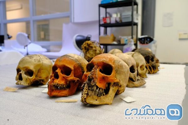 اعلام حذف نمایش بقایای انسانی در یک موزه