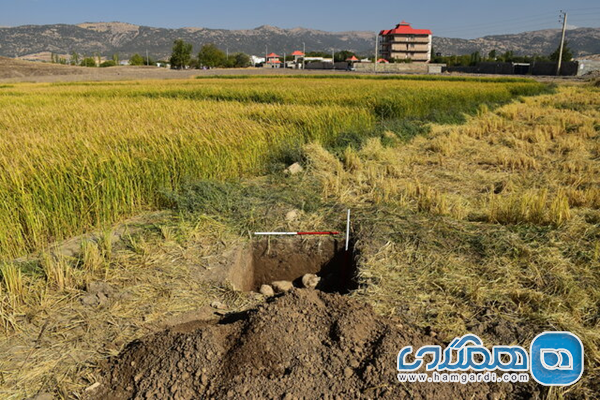 برنامه حفاظتی برای نجات تل خسرو از آسیب بیشتر