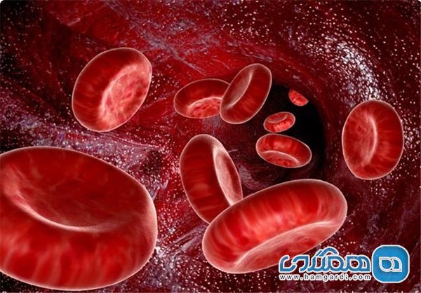 ۵ نشانه برای اینکه “خونتان” اکسیژن کافی ندارد