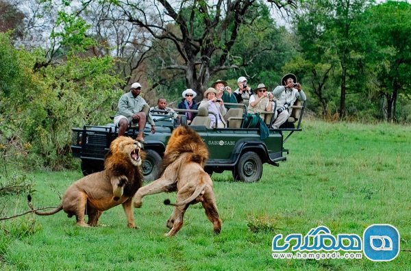 پارک ملی کروگر (Kruger National Park) 2