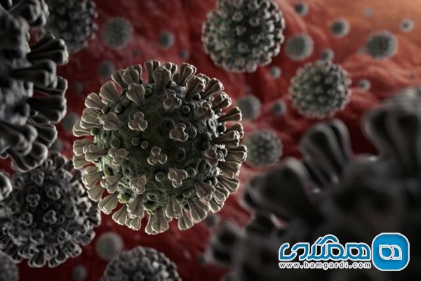 آنچه دانشمندان در مورد کروناویروس جدید می دانند