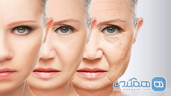 معجزه یک میوه برای کاهش چین و چروک صورت زنان مسن