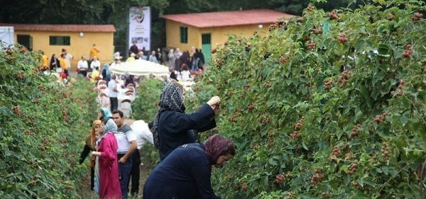 شروع ایجاد زیرساخت های گردشگری کشاورزی در کهگیلویه و بویراحمد