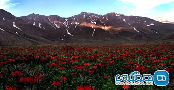 جغرافیای انسانی و طبیعی