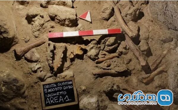 اعلام کشف بقایای 9 انسان نئاندرتال در ایتالیا