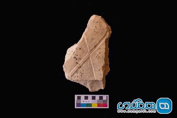 اعلام کشف مقبره های چند هزار ساله در مصر