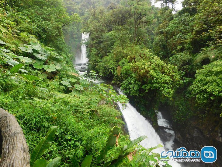 باغ آبشار لاپاز La Paz Waterfall Gardens