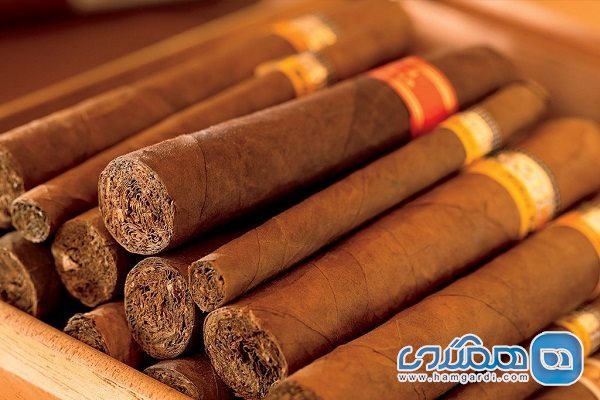 سیگار برگ کوبایی