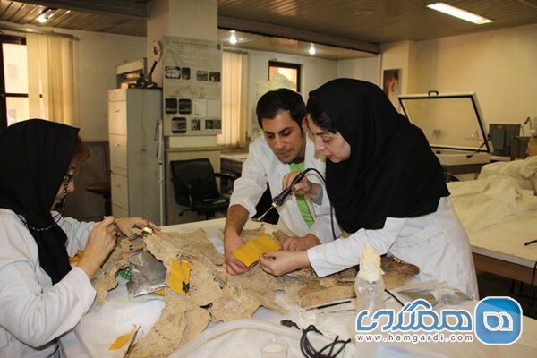 قدیمی ترین اشیای چرمی کشف شده در ایران مرمت شدند
