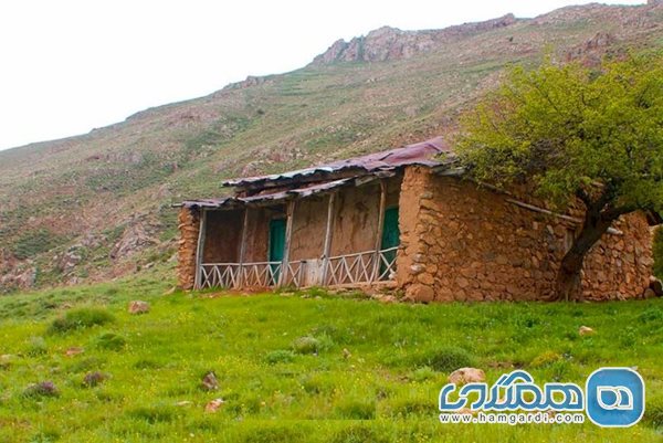  روستای قوهیجان یکی از روستاهای پلکانی و خوش آب و هوای طارم است