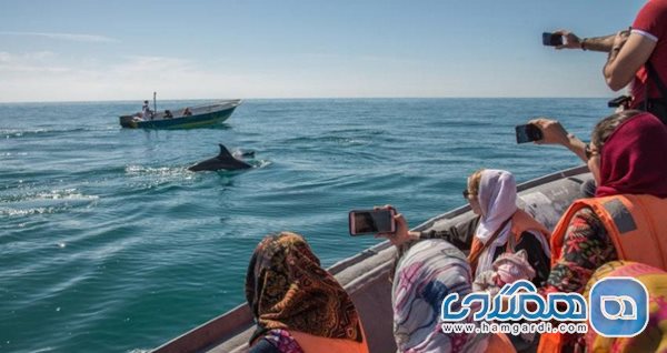 ایران با داشتن سه دریای پیرامونی هنوز نتوانسته از ظرفیت گردشگری دریایی استفاده کند