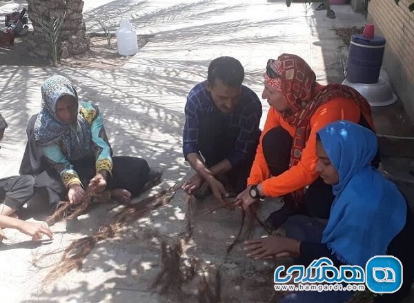 فصل چیلوک ریسی در فهرج کرمان شروع شد