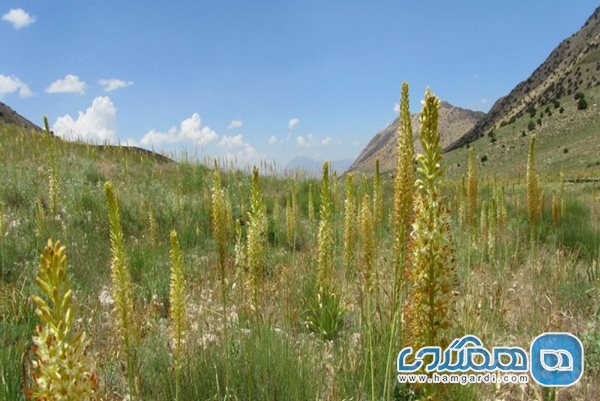 سربند منطقه ای بسیار دیدنی در استان سمنان است