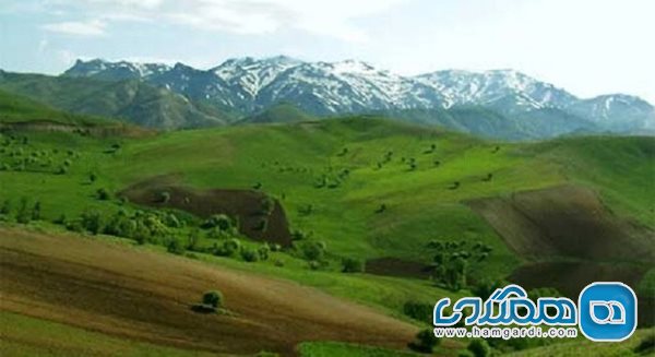 کوه چهل چشمه از جاهای دیدنی دیواندره به شمار می رود