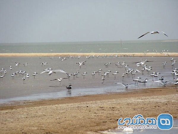 قبر ناخدا یکی از جزیره های غیر مسکونی خلیج فارس است