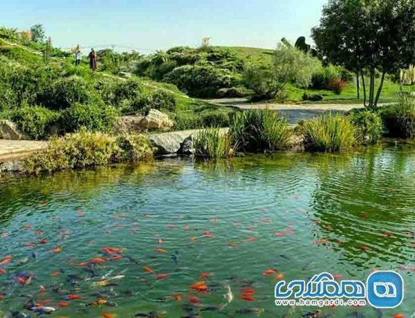 باغ گیاه شناسی مشهد 