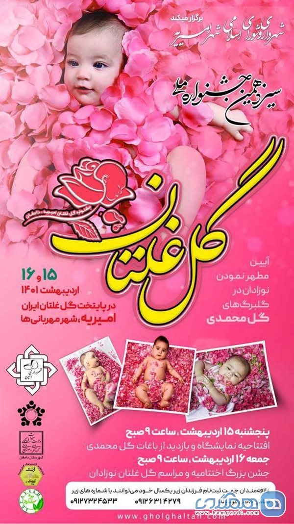 برگزاری سیزدهمین جشنواره ملی گل غلتان نوزاد دامغان در شهر امیریه