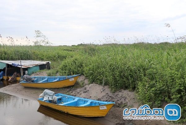 تاکید بر ضرورت ساماندهی و توسعه گردشگری سواحل در گیلان