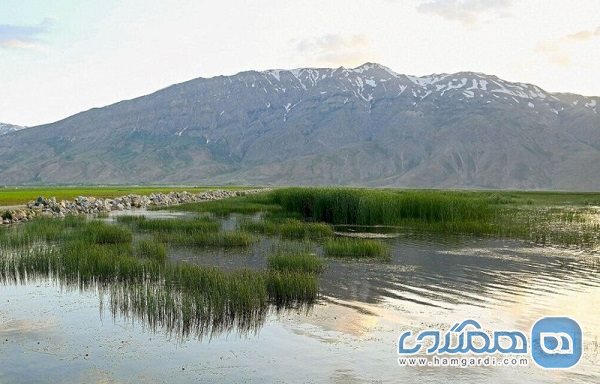 زیرساخت های گردشگری کشاورزی گندمان چهارمحال و بختیاری تقویت می شوند