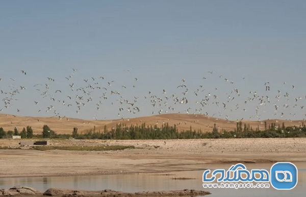سد دوش از جاهای دیدنی آذربایجان شرقی به شمار می رود