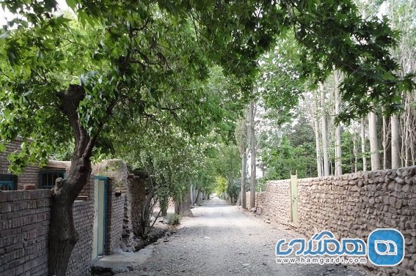 روستای جرجافک یکی از روستاهای زیبای استان کرمان به شمار می رود