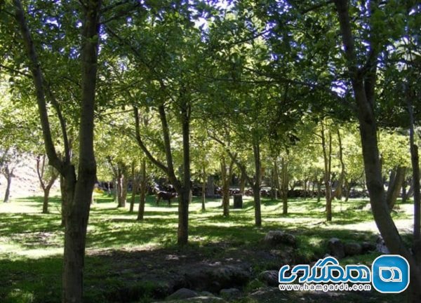 منطقه نمونه گردشگری سقزچی یکی از تفرجگاه های استان اردبیل است