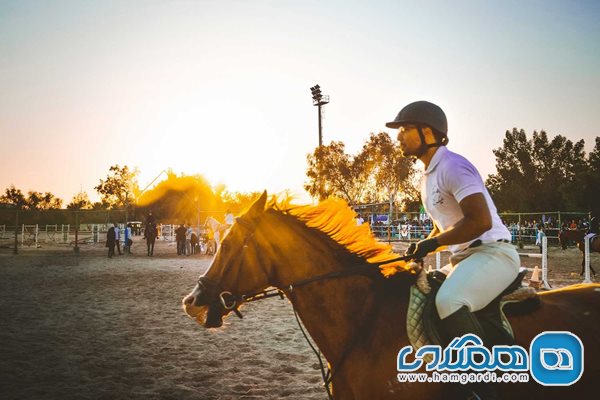 باشگاه اسب سواری در کیش