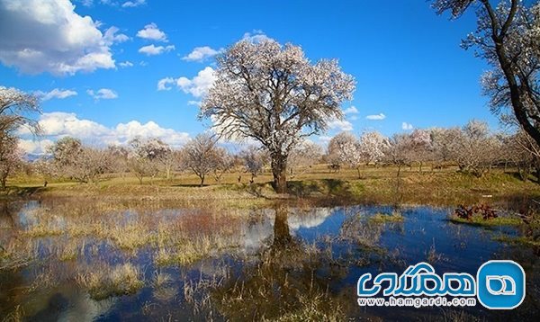 چهارمین نشست قزوین در مسیر تحول دانش بنیان برگزار شد