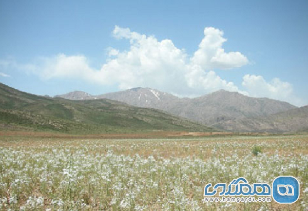 منطقه حفاظت شده شیدا یکی از دیدنی های چهارمحال و بختیاری است