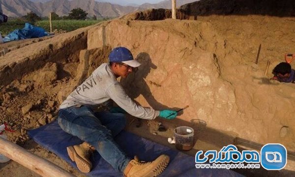 کشف بقایای یک دیوار باستانی 4 هزار ساله در کشور پرو