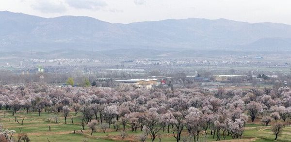 باغستان سنتی قزوین در فهرست میراث زنده جهانی کشاورزی ثبت خواهد شد