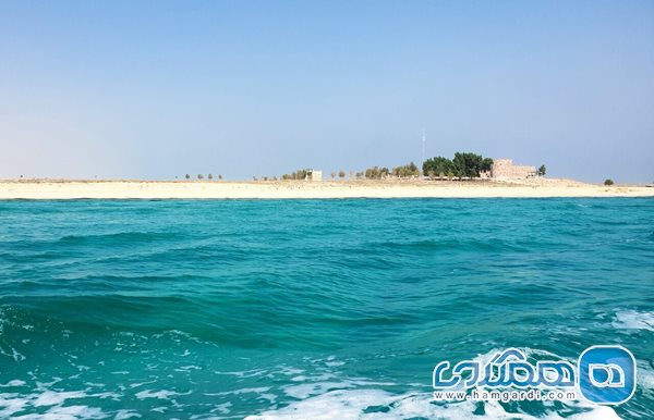 جزیره ای با 128 نفر جمعیت و 55 طاووس در خلیج فارس