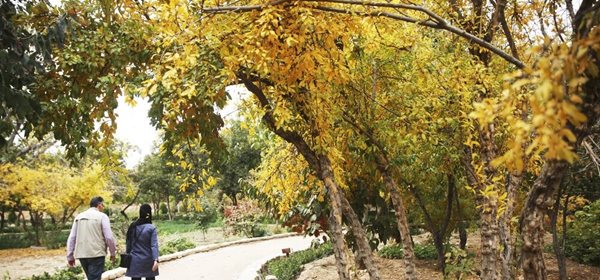 نگاهی به زیبایی های فصل پاییز در باغ منصورآباد 2