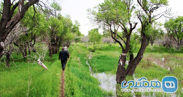 سند احیا و تحول باغستان سنتی قزوین در این هفته رونمایی می شود