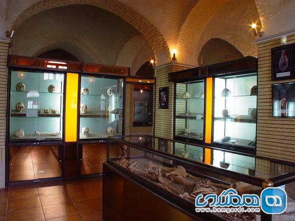 موزه ملی تاریخ علوم پزشکی ايران