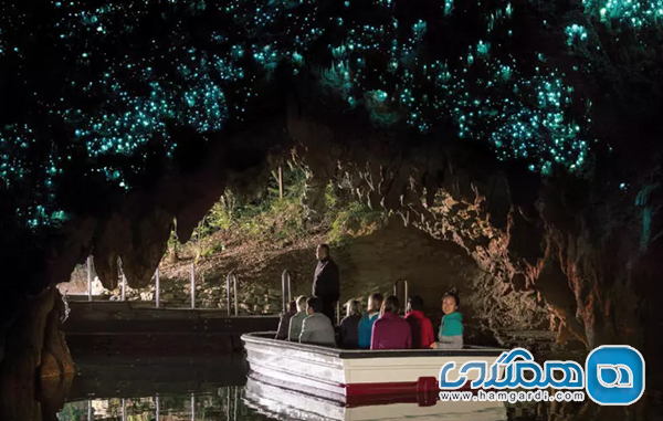 غارهای کرم شب تاب وایتومو