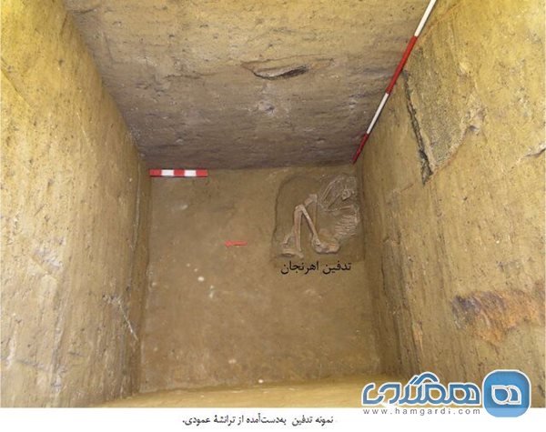 کشف ۵ گور با تدفین متفاوت در شمال غرب ایران