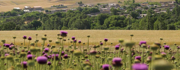 روستای مهماندوست