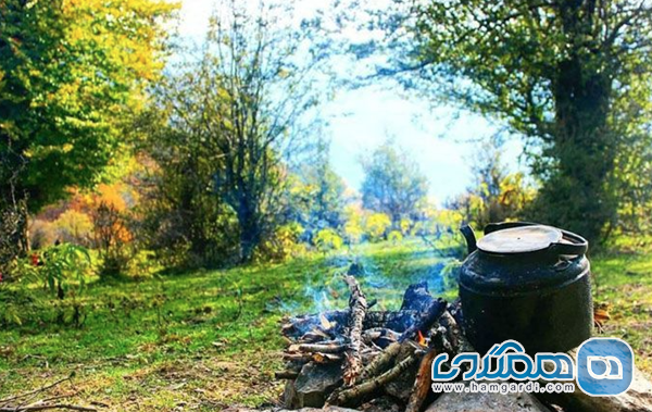 نکات مهم برای سفر به جنگل